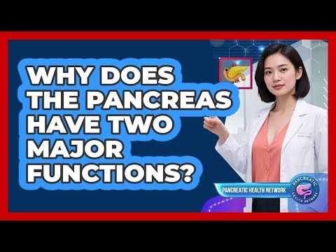 Why Does The Pancreas Have Two Major Functions?