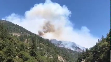 10K views · 111 reactions | NEW VIDEO: The Dixie Fire has moved out of Butte County but continues to actively burn in Plumas County. KRCR News Channel 7's Kelly DeLeon took this video near the firelines this afternoon. READ MORE>>https://www.krcrtv.com/news/local/dixie-fire-butte-county-tuesday | KRCR News Channel 7 | Facebook