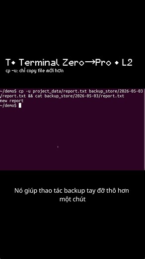 T• cp -u: chỉ copy khi file nguồn mới hơn | L2 (Terminal Zero→Pro)