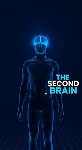 🚨 Your Brain is HACKED: The Scary Truth About 'The Second Brain' 🧠🦠