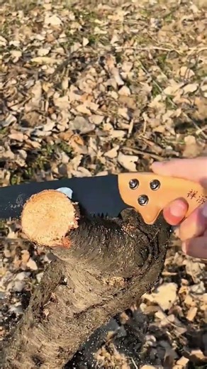Cutting tree branches with a hand saw for gardening and maintaining outdoor yard spaces efficiently