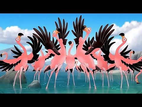 The Lion Guard: Flamingo Dance Party - Full Song with lyrics (High Quality) | The Race to Tuliza