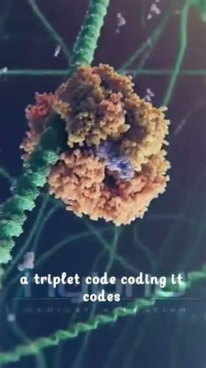 what is genetic code 🤔