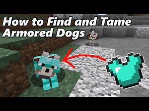 How to Find and Tame ARMORED DOGS in Minecraft
