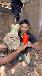 Amazing Water Glass Made from Bamboo Root. | Amazing collection