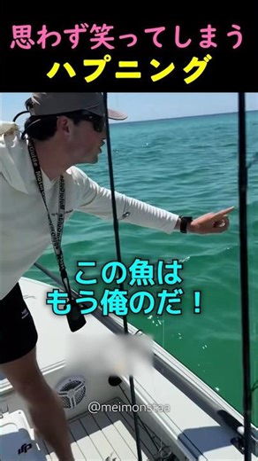 ❤️1200万❤️海で巻き起こった、思わず笑ってしまう不思議なハプニング