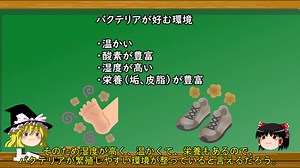 縲舌ｆ縺｣縺上ｊ隗｣隱ｬ縲代↑縺懆ｶｳ縺ｯ閾ｭ縺上↑繧九・縺具ｼ溷次蝗迚ｩ雉ｪ縺ｨ謾ｹ蝟・婿豕輔ｒ遘大ｭｦ逧・↓隗｣隱ｬ