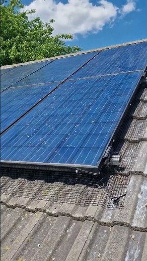 Pigeon-Proofing Solar Panels: Before & After!