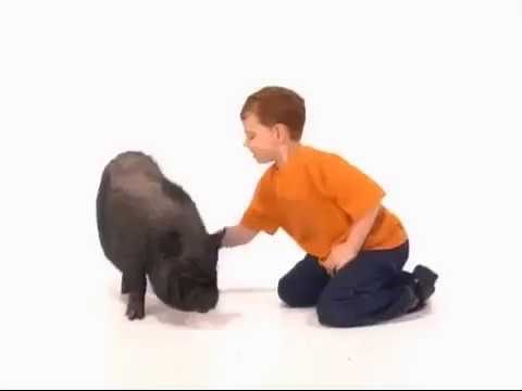 This is Daniel Cook Intro