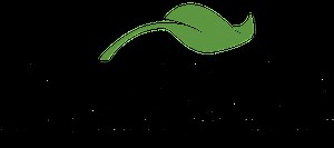 Senior Analyst - Life Science Consulting at Nuvera Life Science Consulting | The Muse