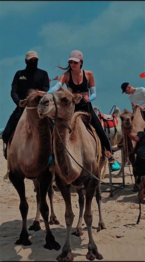 Рабочая поездка в пустыню #zipcar #automobile #auto #бизнес #обзор #пустыня #desert #юмор
