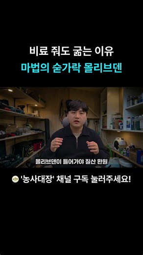 비료 줘도 굶는 이유 마법의 숟가락 몰리브덴