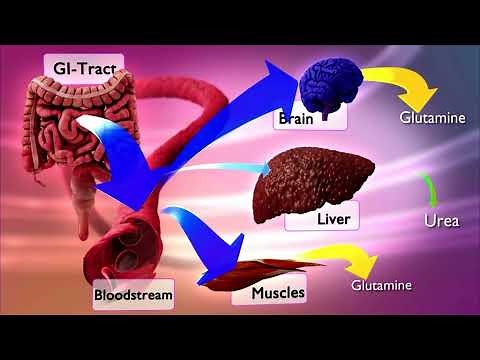 Hepa-Merz (LOLA) Mode of Action