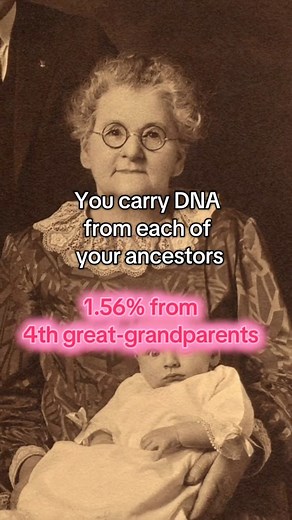 Ever wonder how much DNA you share with the generations before you? 💡 You inherited: 🧬 50% from your parents 🧬 25% from your grandparents 🧬 12.5% from your great-grandparents 🧬 6.25% from your 2nd great-grandparents 🧬 3.13% from your 3rd great-grandparents 🧬 1.56% from your 4th great-grandparents Every bit connects you to someone who came before — and each of them played a part in your story. Start discovering who they were (and who you are): myheritage.com/dna | MyHeritage