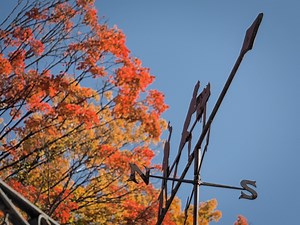 Take these New England train trips for great views of fall foliage