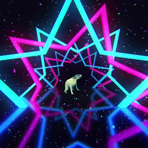 Dancing Dogs Compilation: Joyful Moves and Cute Moments