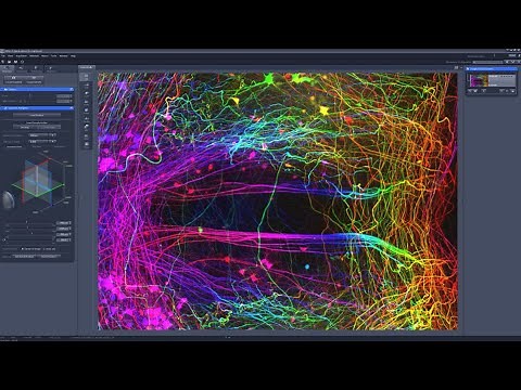Microscopia Óptica - Tutorial software Zen Lite Zeiss