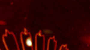 Green Screen Video, Curtain