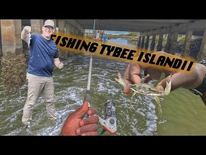 FISHING TYBEE Island South Georgia!! Short Video. 4K