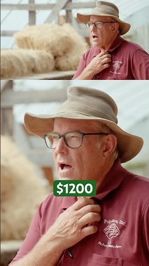 How I Make $12,000/Acre Raising Pigs on Pasture #farming #pork #agribusiness