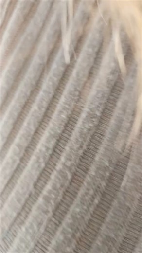 15 reactions · 4 comments | I’ve loved before—and I still believe in love. Not the kind that burns fast, but the kind that stays warm through the years. | Romance Radar | Facebook