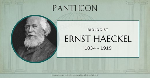 Ernst Haeckel Biography | Pantheon
