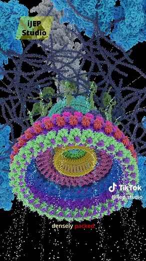 Flagellar Motor: A Nanomachine Explained
