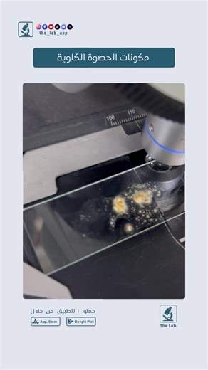 شنو المكونات اللي شفتوها🤔. #المختبر_صار_بجيبك #the_lab_app