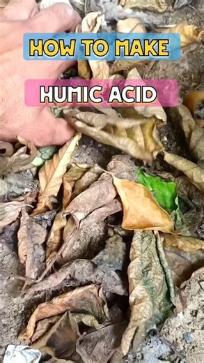 humic acid घर पर तैयार करने का आसान तरीका #gardening #garden #farming