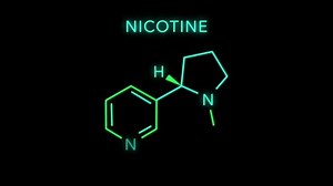 Nicotine Molecular Structure Symbol Neon Animation Stock Footage Video (100% Royalty-free) 1060694938 | Shutterstock