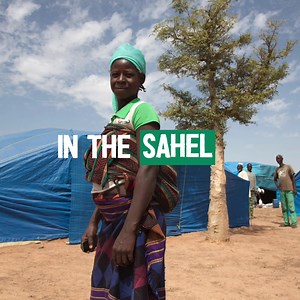 166 reactions · 12 shares | Today is World Environment Day  Let’s celebrate our planet’s beauty. Wfp is committed to sustainable food systems, fighting hunger while preserving nature. | World Food Programme West Africa | Facebook