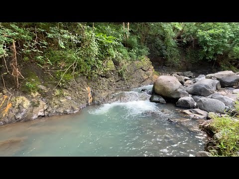Relaxing River Stream in Nature for Fast Sleep, Focus, Meditation and Relaxation 🌊🧘