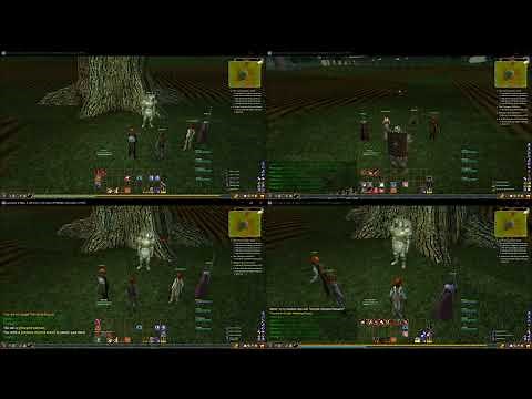 Everquest 2 Multi-Boxing - No Broadcasting, No Automation, And NO Third Party Software Required!