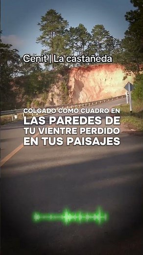 Cenit | La Castañeda