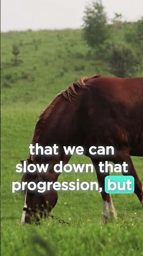 Introducing 4CYTE – Scientifically Proven Joint Support | VetFolio Voice #vetmed #jointhealth