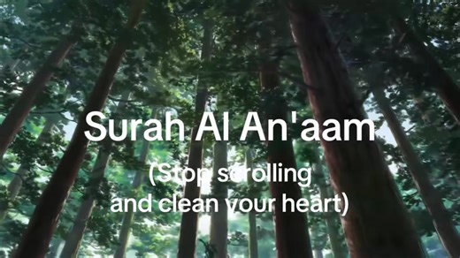 Surah Al An‘aam #quranrecitation #quranverses #surah #surat #quran #koran