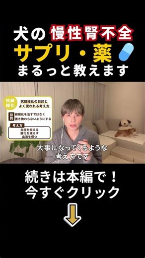 【これだけ押さえればOK】犬の慢性腎不全のサプリ・薬まるっと教えます