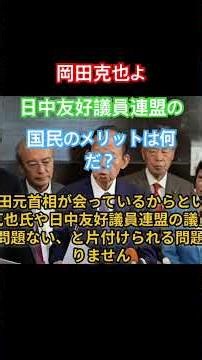 岡田克也よ、日中友好議員連盟の日本国民のメリットは何だ？ #shorts