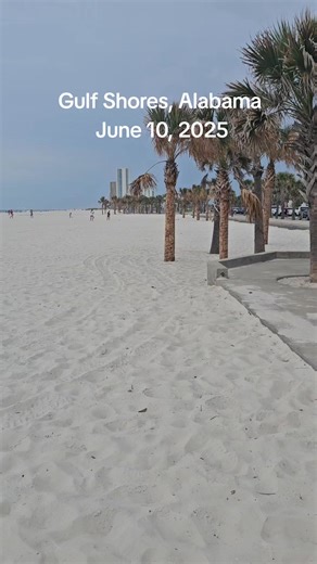 22K views · 557 reactions | Gulf Shores, Alabama 6-10-25 82 degrees with a feels like of 92 degrees. Humidity is a THING today after thunderstorms this morning. Purple and Yellow flags with jellyfish still present. #gulfshores #alabamabeaches #gulfshoresalabama #gulfcoast #albeachblogger #alabamagulfcoast | Gulf Coast Journeys | Facebook