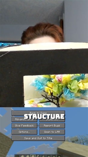 Design Process in Minecraft Building