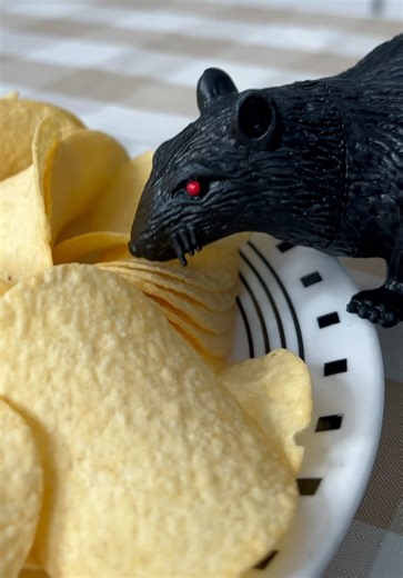 Monster cooks the rat 🤣👻 #funnyvideo #monsterundermybed | monster
