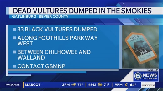 GSMNP searching for tips after 33 dead vultures dumped in the Smokies
