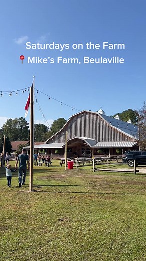 Embracing the essence of fall on Saturdays at Mike's Farm🍂 Hayrides through golden landscapes, picking the perfect pumpkin, and discovering local NC treasures in the cozy barn. Weekends are made for farm-fueled memories! | Riverlights