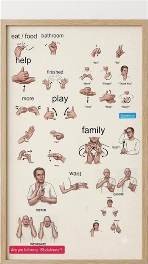 Common Sign language for Beginners and newbies 💯 #bibekjeevan #father4son #signlanguage #deaf