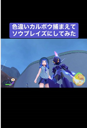 色違いカルボウをソウブレイズに進化させた！