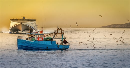 Marine insurance rises 1.5% in 2024