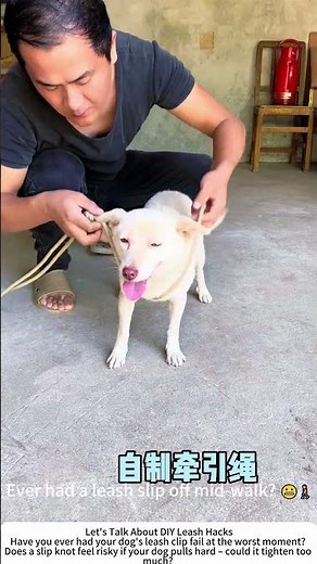 Tying a Slip Knot for a Dog Leash – Secure Yet Easy Release 🐕