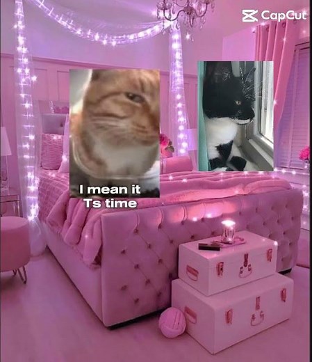 pov: those couples that break up and get back together in less than 10 seconds