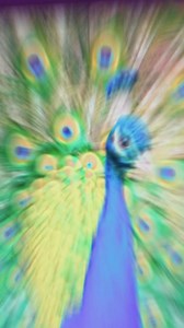 265K views · 118 reactions | More frames. More clarity. More wins. This is the monitor your setup deserves. Built for speed. Tuned for gamers. Priced to win.  800 Days Warranty  Free Shipping and Easy Returns EMI's available | Kreo. | Facebook