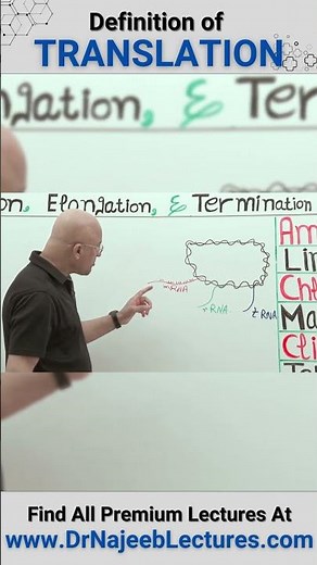 Definition Of Translation #drnajeeb #drnajeeblectures #shortvideostatus